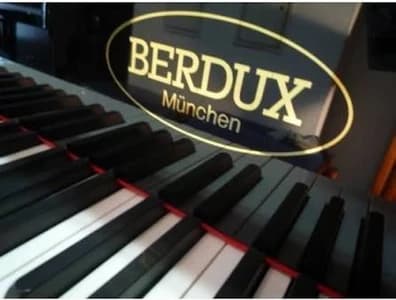 Berdux V logo