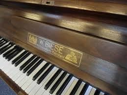 Biese W logo