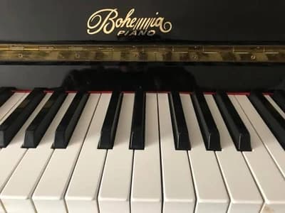 Bohemia logo