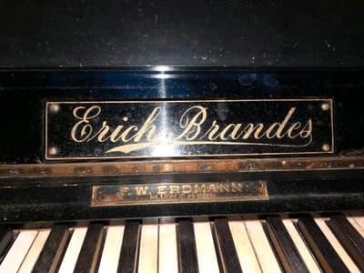 Brandes Erich logo