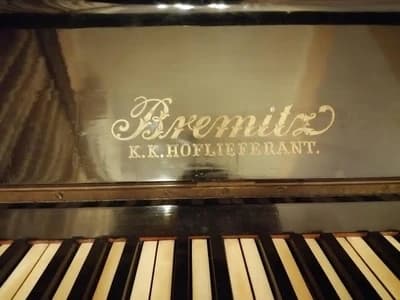 Bremitz Enrico logo