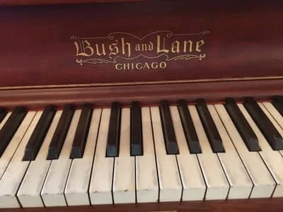 Bush & Lane logo