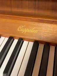 Cappelen J W logo