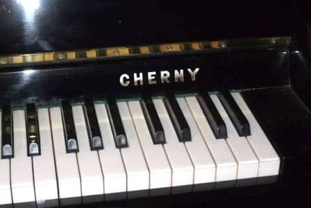 Cherny logo