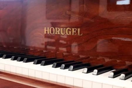 Horugel M logo