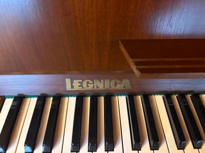 Legnica logo
