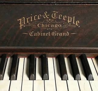 Price & Teeple logo