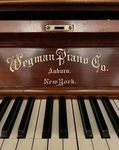 Wegman logo