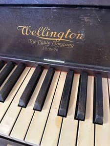 Wellington logo
