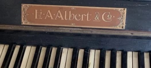 Albert & Co E A logo