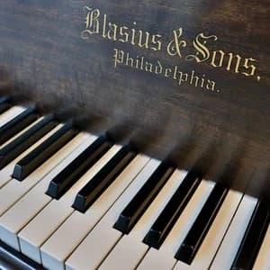 Blasius & Sons logo