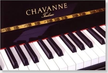 Chavanne logo