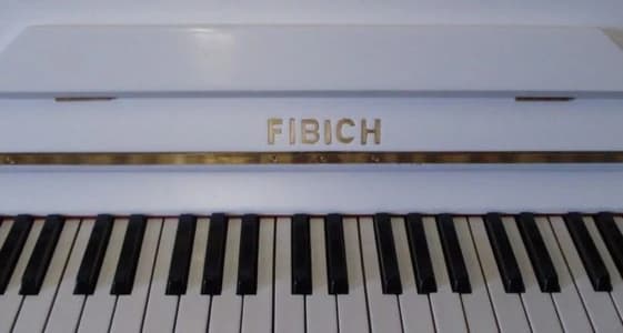 Fibich logo