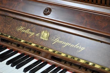 Holling & Spangenberg C logo