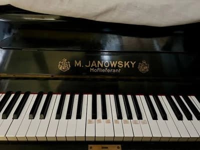 Janowsky Max logo