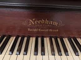 Needham logo