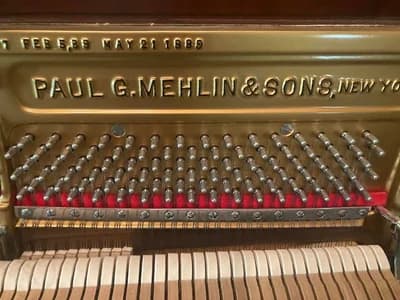 Paul G. Mehlin & Sons logo