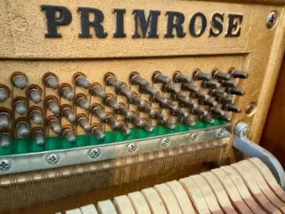 Primrose logo