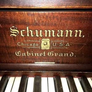 Schumann logo